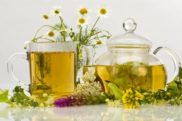 Décoction de plantes comme antibiotique naturel contre la prostatite